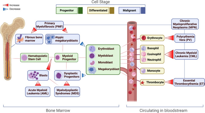 Epigenomic insights and computational advances in hematologic malignancies.