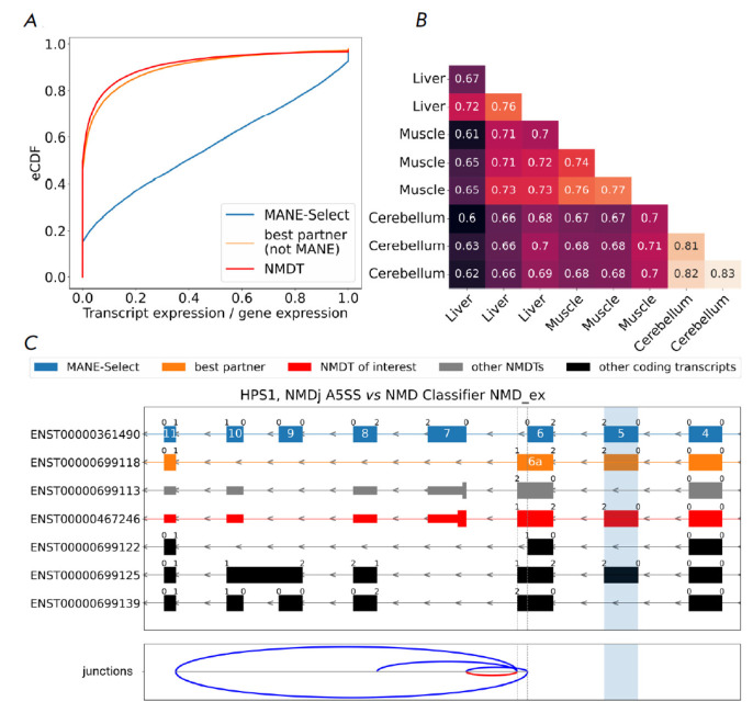 Classification and Quantification of Unproductive Splicing Events.