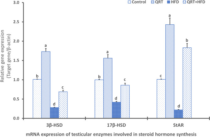 Quercetin-mediated restoration of high-fat diet-induced male reproductive dysfunction through modifying spermatogenesis and unraveling 3β-HSD, 17β-HSD, and StAR pathways.
