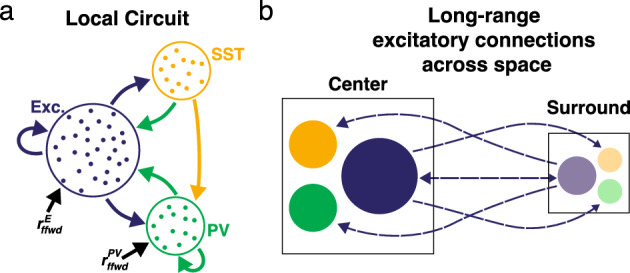 Extending Mathematical Frameworks to Investigate Neuronal Dynamics in the Presence of Microglial Ensheathment.