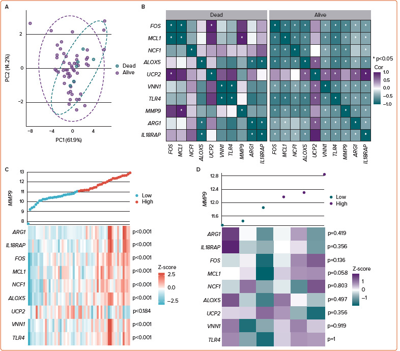 Oxidative Stress-related Gene Signature: A Prognostic Tool for Predicting Survival in ST-elevation MI.
