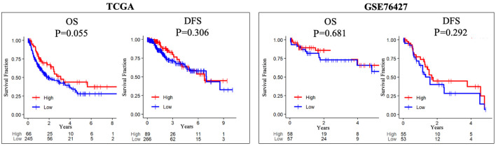 Angiogenesis Is Associated With Aggressive Biology That Counterbalances With Tumor Immunogenicity in Hepatocellular Carcinoma.