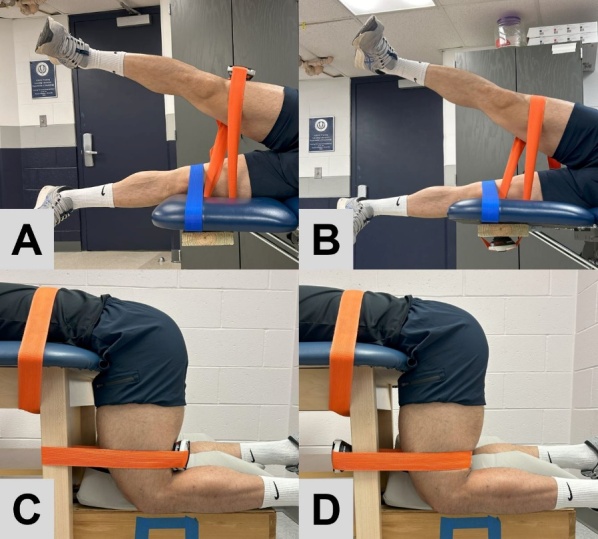 Validity and Agreement of a Portable Dynamometer in Evaluating Hip Strength and Rate of Torque Development: Influence of Fixation Methods.