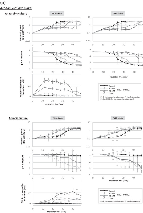 The Effect of Environmental Factors on the Nitrate and Nitrite Metabolism of Oral Actinomyces and Schaalia Species.