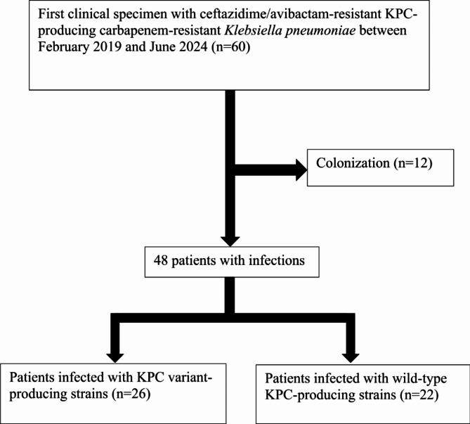 Clinical and Microbiological characteristics of patients with ceftazidime/avibactam-resistant Klebsiella pneumoniae carbapenemase (KPC)-producing K. pneumoniae strains.