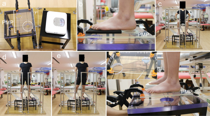 Morphological characteristics of the heel fat pad in the dominant and non-dominant feet under varying loads.