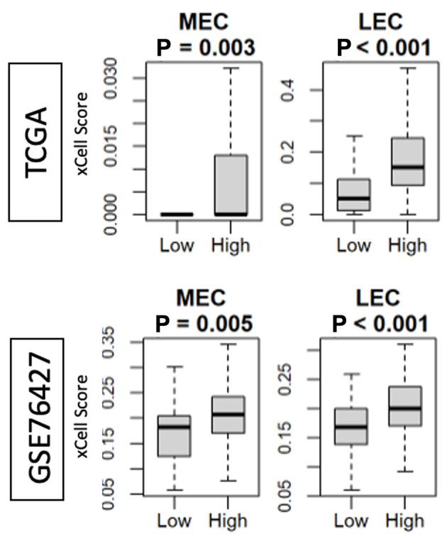 Angiogenesis Is Associated With Aggressive Biology That Counterbalances With Tumor Immunogenicity in Hepatocellular Carcinoma.