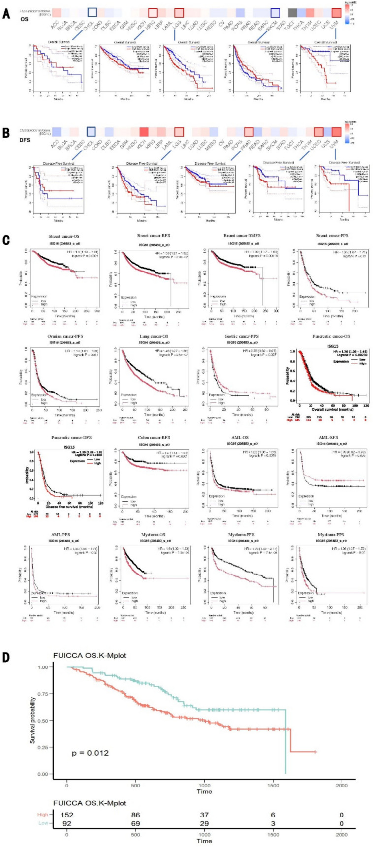 Cohort-based pan-cancer analysis and experimental studies reveal ISG15 gene as a novel biomarker for prognosis and immunotherapy efficacy prediction.