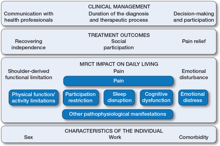 Relevant treatment outcomes for individuals aged 60 and older with massive rotator cuff tears: a qualitative study with 16 patients.