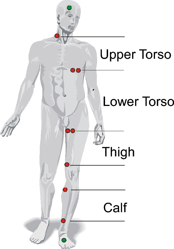 Blood volume deficit in postural orthostatic tachycardia syndrome assessed by semiautomated carbon monoxide rebreathing.