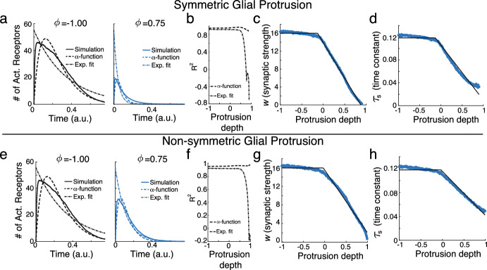 Extending Mathematical Frameworks to Investigate Neuronal Dynamics in the Presence of Microglial Ensheathment.