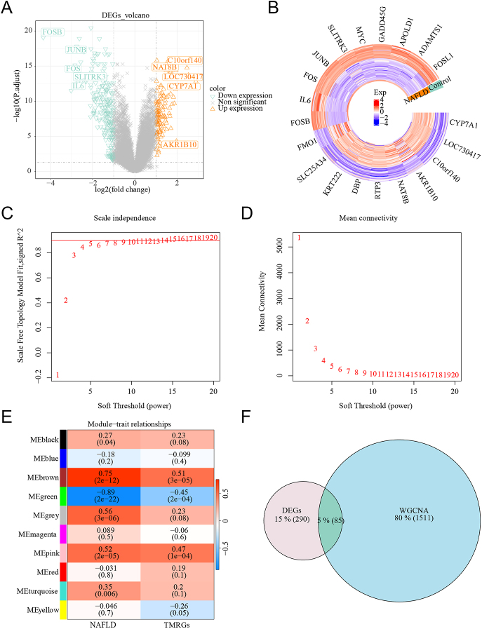 Identification of tryptophan metabolism-related biomarkers for nonalcoholic fatty liver disease through network analysis.