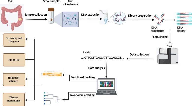 Gut microbiome in colorectal cancer: metagenomics from bench to bedside.
