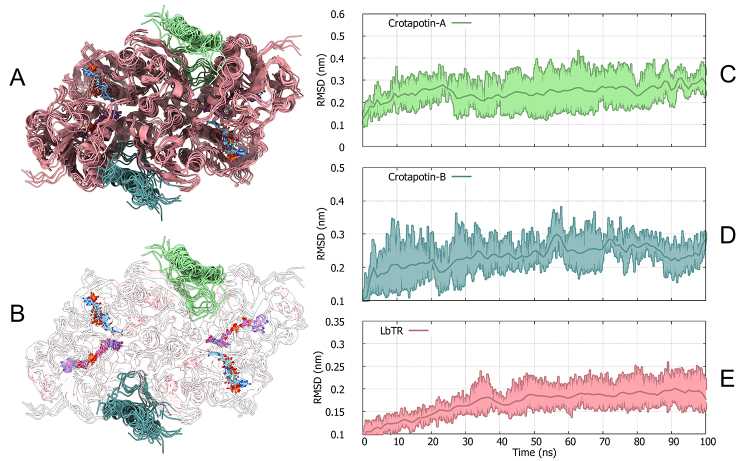 Molecular interaction assays <i>in silico</i> of crotapotin from <i>Crotalus durissus terrificus</i> against the molecular target trypanothione reductase from <i>Leishmania braziliensis</i>.