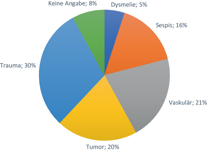 [Update of the Amputation Registry Germany (AMP-Registry)].