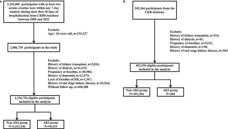 Association between Acute Kidney Injury and Dementia: A Multi-Database Cohort Study.