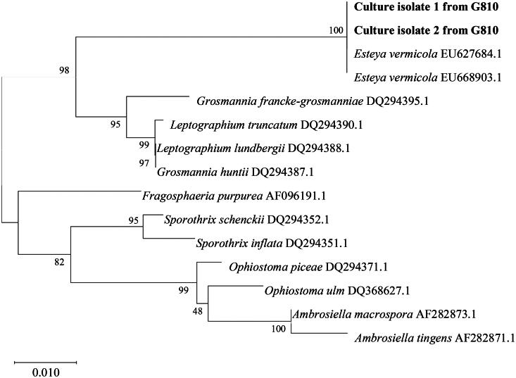 Effects of Resinous Compounds from Pine Trees on Spore Germination and Mycelial Growth of a Nematophagous Fungus, <i>Esteya vermicola</i>.