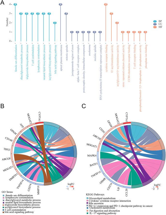 Identification of tryptophan metabolism-related biomarkers for nonalcoholic fatty liver disease through network analysis.