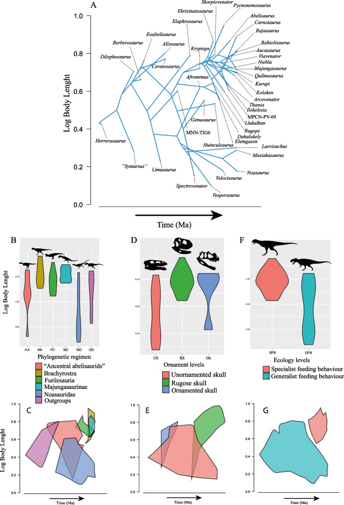 Macroevolutionary trends in Ceratosauria body size: insights of phylogenetic comparative methods.