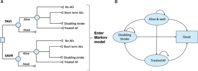 Cost-effectiveness analysis of transcatheter aortic valve implantation versus surgical aortic valve replacement in patients with severe aortic stenosis at low risk of surgical mortality in Sweden.