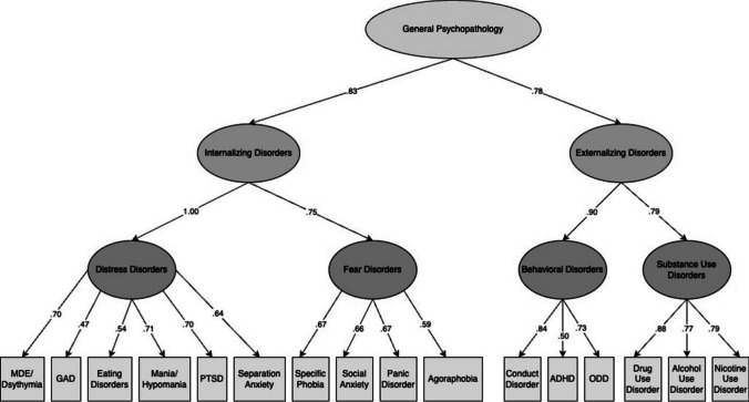 Interparental Relationship Discord and Adolescent Psychopathology in a United States Probability Sample.