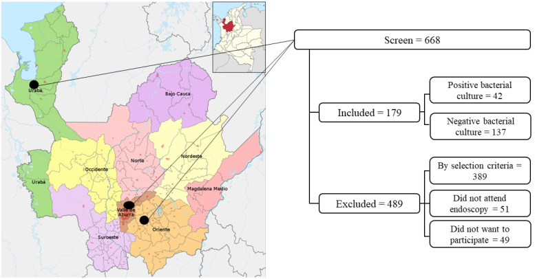 Furazolidone susceptibility of Helicobacter pylori isolated from patients with gastroduodenal diseases in Colombia.