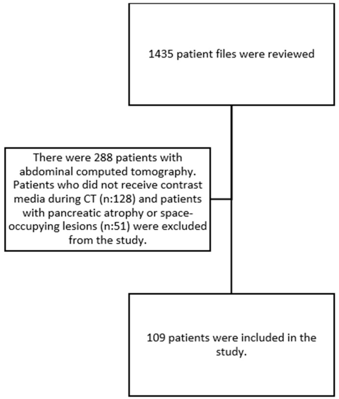 An Investigation of the Relationship Between Pancreas Volume, Nutritional Status, and HbA1c in Geriatric Patients.