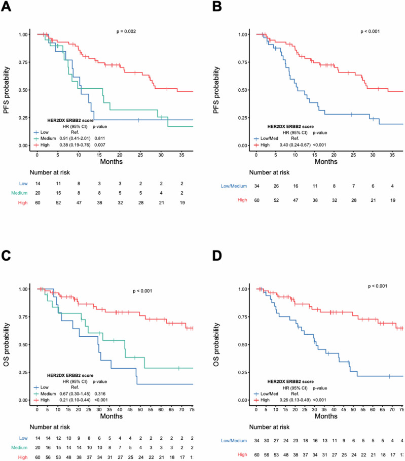 HER2DX ERBB2 mRNA score in first-line advanced HER2-positive breast cancer treated with chemotherapy, trastuzumab, and pertuzumab.