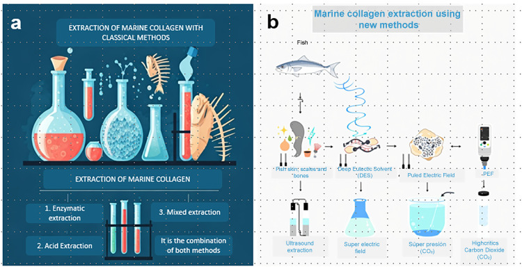 A Review of Classical and Rising Approaches the Extraction and Utilization of Marine Collagen.