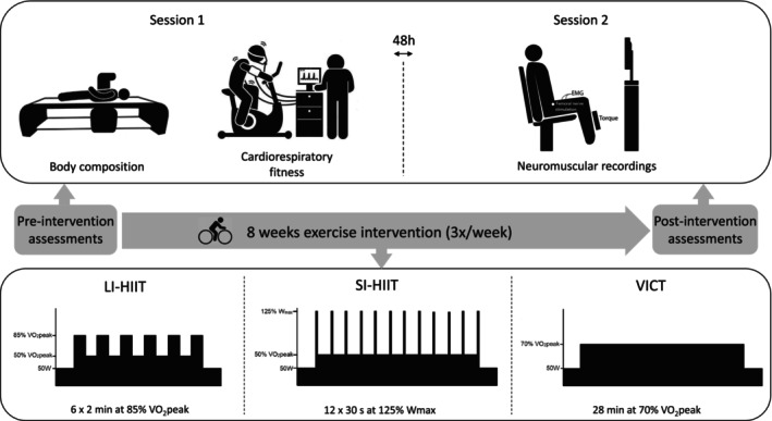 Comparison of body composition, cardiorespiratory, and neuromuscular adaptations induced by three different high intensity training protocols.