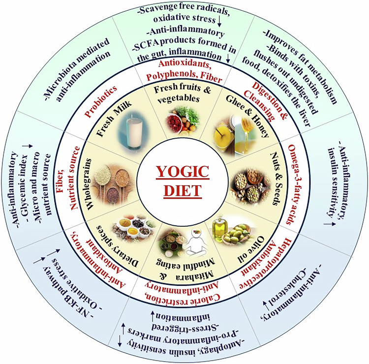 A comprehensive review on the implications of Yogic/Sattvic diet in reducing inflammation in type 2 diabetes.