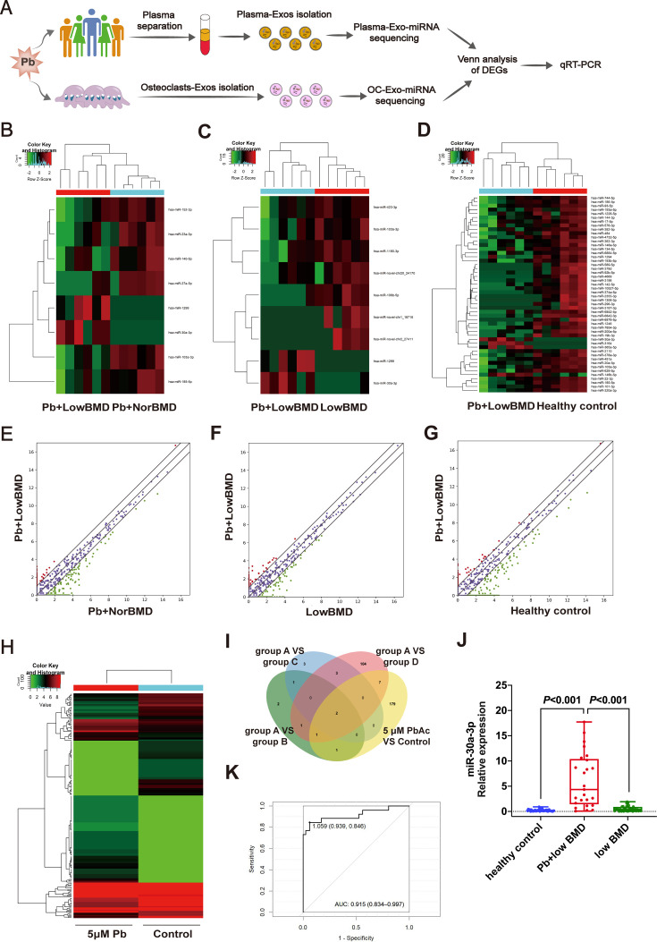Osteoclast-derived exosomal miR-30a-3p promotes lead exposure-induced osteoporosis by triggering osteoblastic pyroptosis.