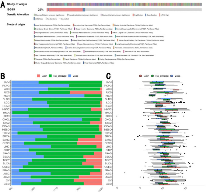 Cohort-based pan-cancer analysis and experimental studies reveal ISG15 gene as a novel biomarker for prognosis and immunotherapy efficacy prediction.