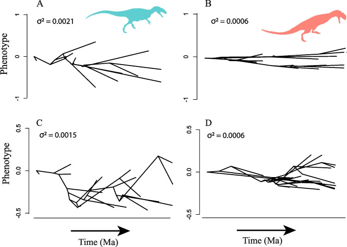 Macroevolutionary trends in Ceratosauria body size: insights of phylogenetic comparative methods.