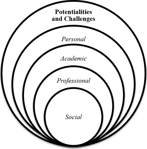 Potentialities and challenges of stricto sensu graduate studies in health: A qualitative meta-synthesis.