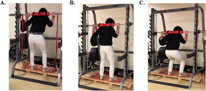 Using Isometric Squat Strength to Predict Concentric and Eccentric Squat Strength in Young and Older Adults.