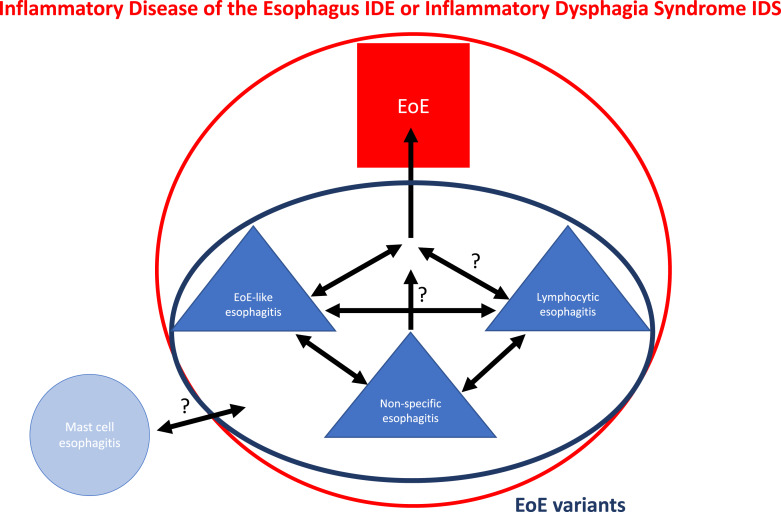 Eosinophilic Esophagitis without Eosinophils: Do You Want to Mock Me?