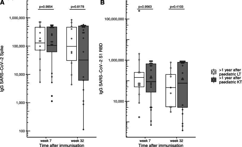 Pediatric Liver and Kidney Transplant Recipients Demonstrate Greater Serological Response to SARS-CoV-2 Vaccination Than Adults.