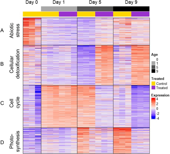 Identification of Gene Targets for the Sprouting Inhibitor CIPC.