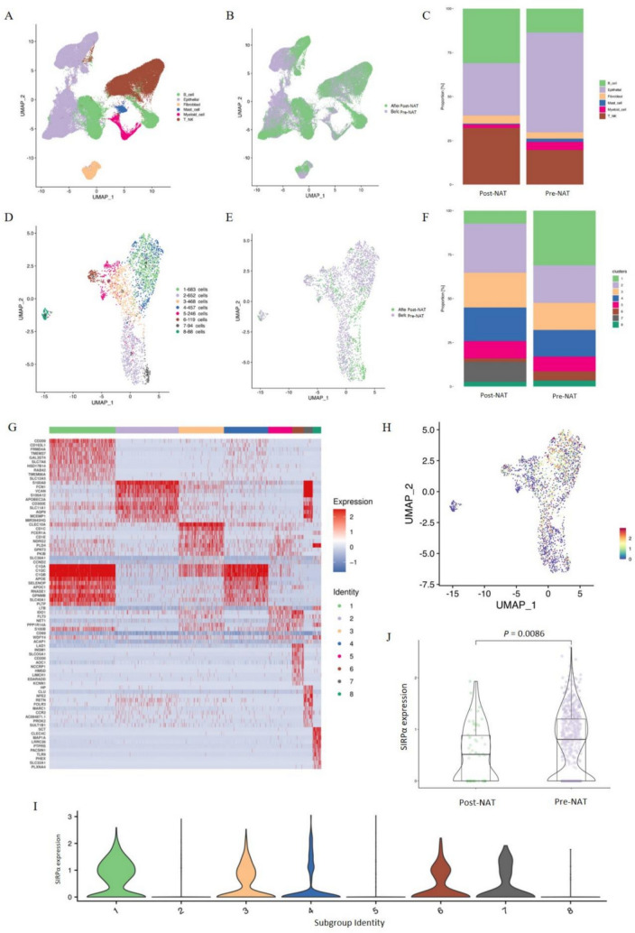 SIRPα + CD209 + cell: a specialized antigen-presenting cell that contributes to anti-SIRPα/RT therapy in colorectal cancer.
