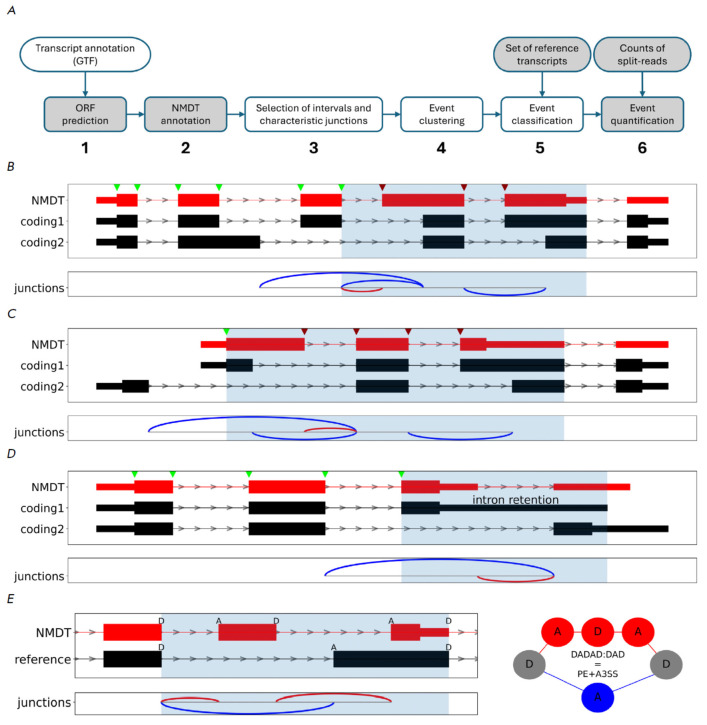 Classification and Quantification of Unproductive Splicing Events.