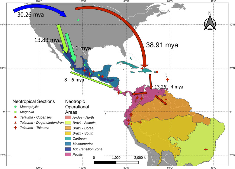 There and back again: historical biogeography of neotropical magnolias based on high-throughput sequencing.