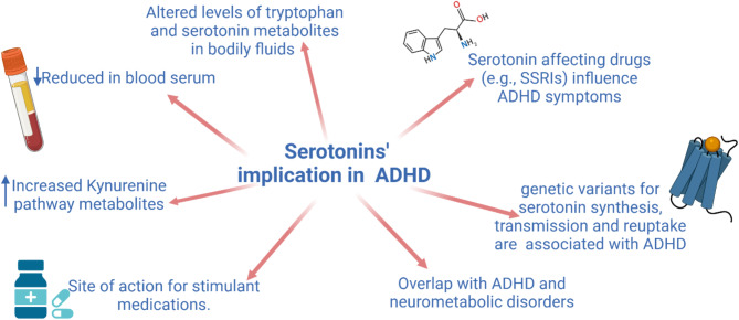 Serotonin dysfunction in ADHD.