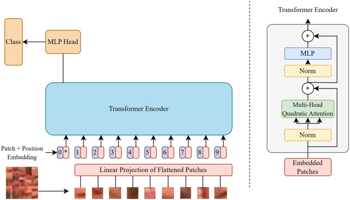 Lightweight and hybrid transformer-based solution for quick and reliable deepfake detection.