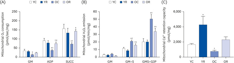 Resveratrol attenuates aging-induced mitochondrial dysfunction and mitochondria-mediated apoptosis in the rat heart.