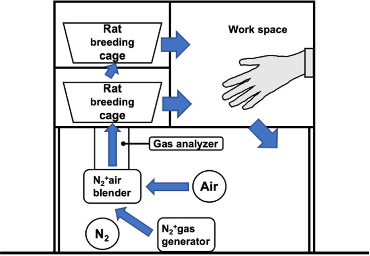 Intermittent hypoxic stimulation promotes efficient expression of Hypoxia-inducible factor-1α and exerts a chondroprotective effect in an animal osteoarthritis model.