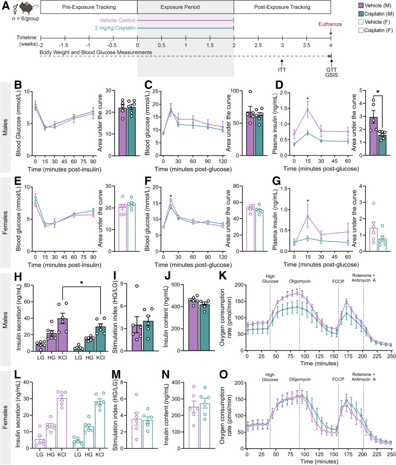 Cisplatin Exposure Dysregulates Insulin Secretion in Male and Female Mice.