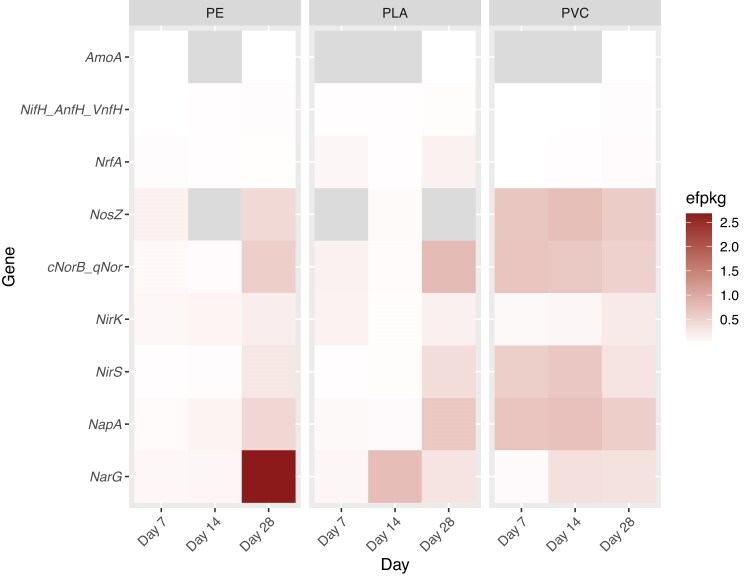 Microplastic biofilms as potential hotspots for plastic biodegradation and nitrogen cycling: a metagenomic perspective.
