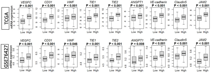 Angiogenesis Is Associated With Aggressive Biology That Counterbalances With Tumor Immunogenicity in Hepatocellular Carcinoma.