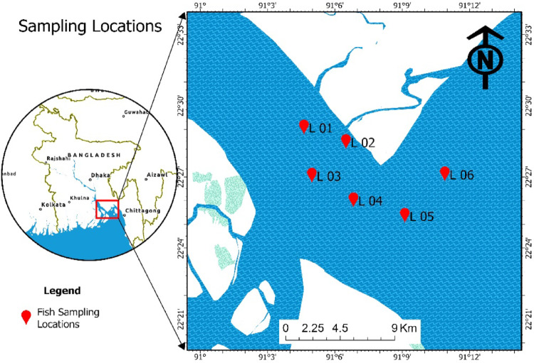 Unveiling Microplastics in Commercial Brackish Water Fishes from the Lower Meghna River Estuary of Bangladesh.
